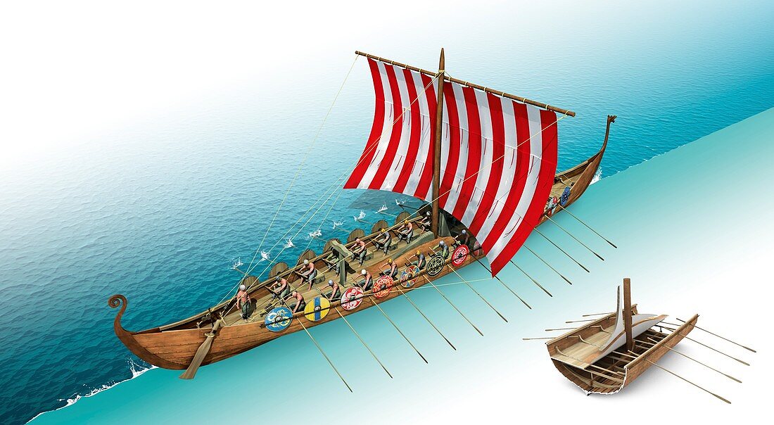 Viking longship, illustration
