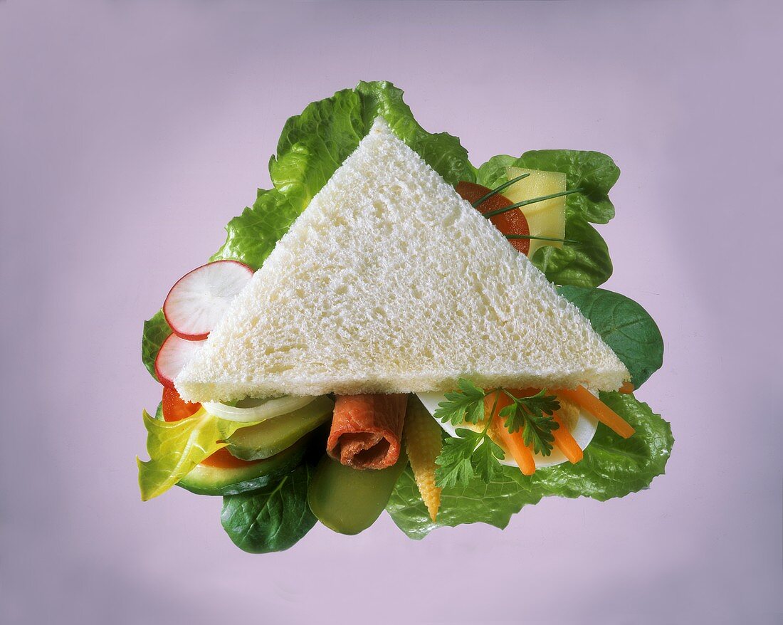 Triangular Sandwich on White Bread