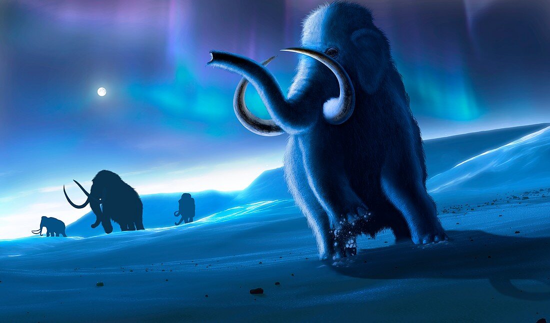 Artwork of Mammoths and Aurora