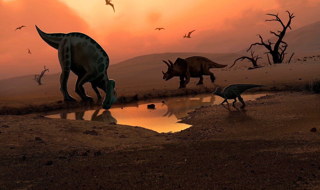 Artwork of dinosaurs at a watering hole