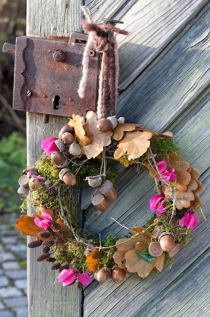 Wreath made of moss, twigs, leaves and Quercus fruits