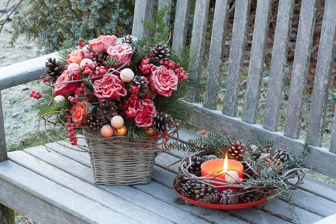 Frozen Christmas bouquet of Rosa (roses), Pinus (pine)