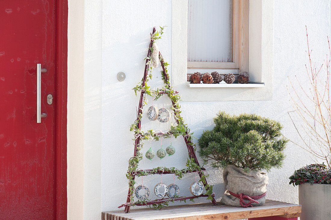 Triangle of branches as a feeding staircase