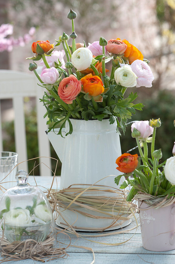 Ranunculus (ranunculus) bouquet in white pot, grasses