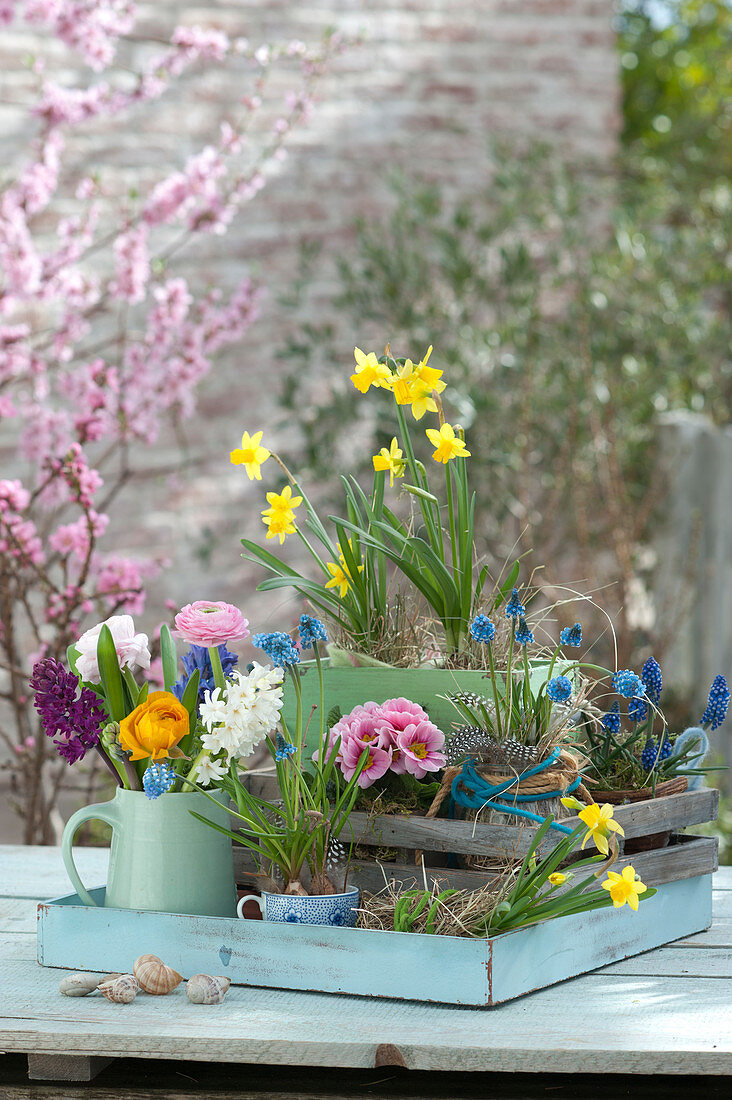 Buntes Frühlings-Arrangement mit Höhenstaffelung :