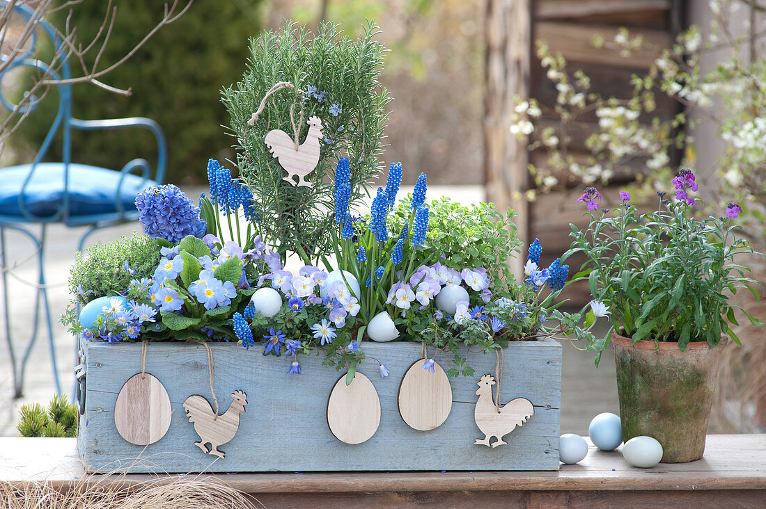 Rosemary stems, muscari, viola