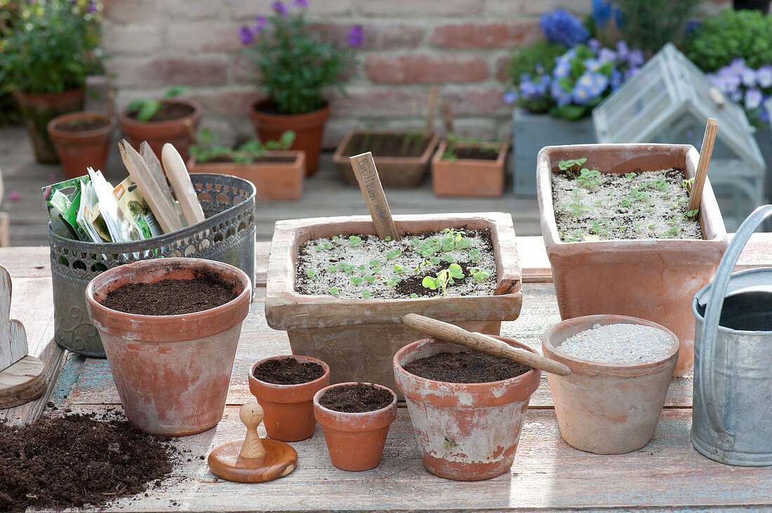 Sowing style pots with earth and sand, widger, pressure stamp