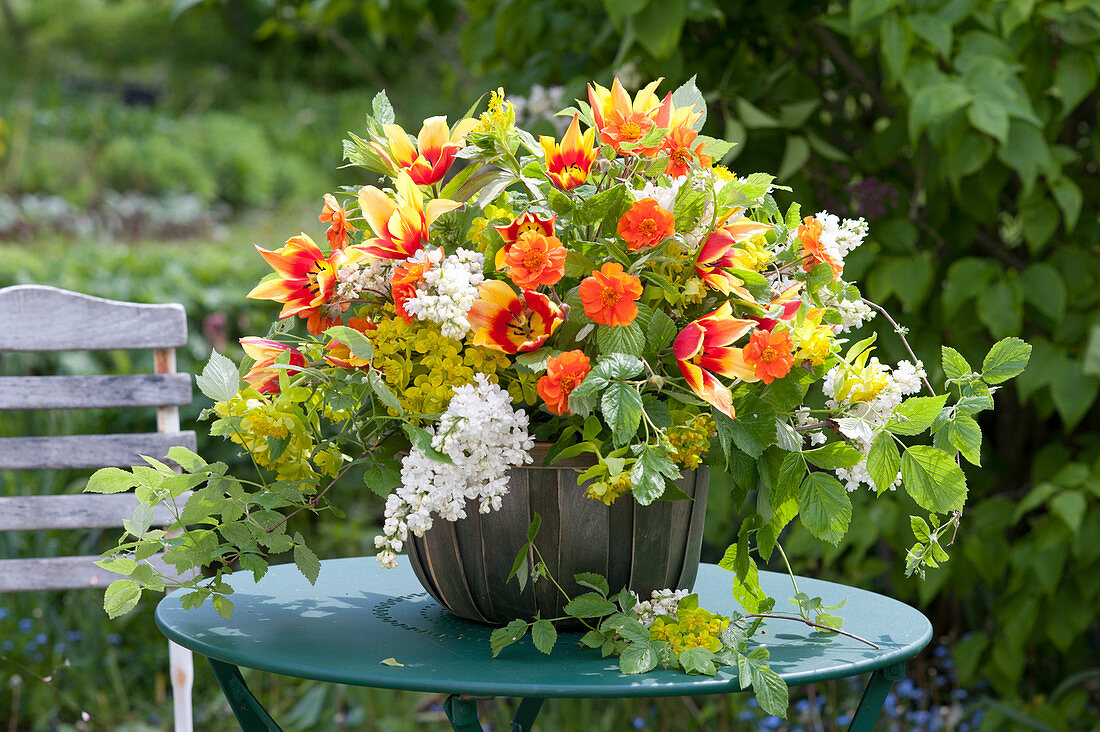 Lush arrangement with tulipa (tulip), geum (clove), syringa