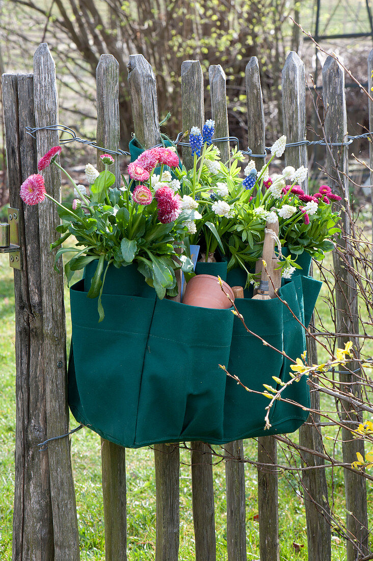 Gärtnertasche zweckentfremdet und bepflanzt an Zaun gehängt :