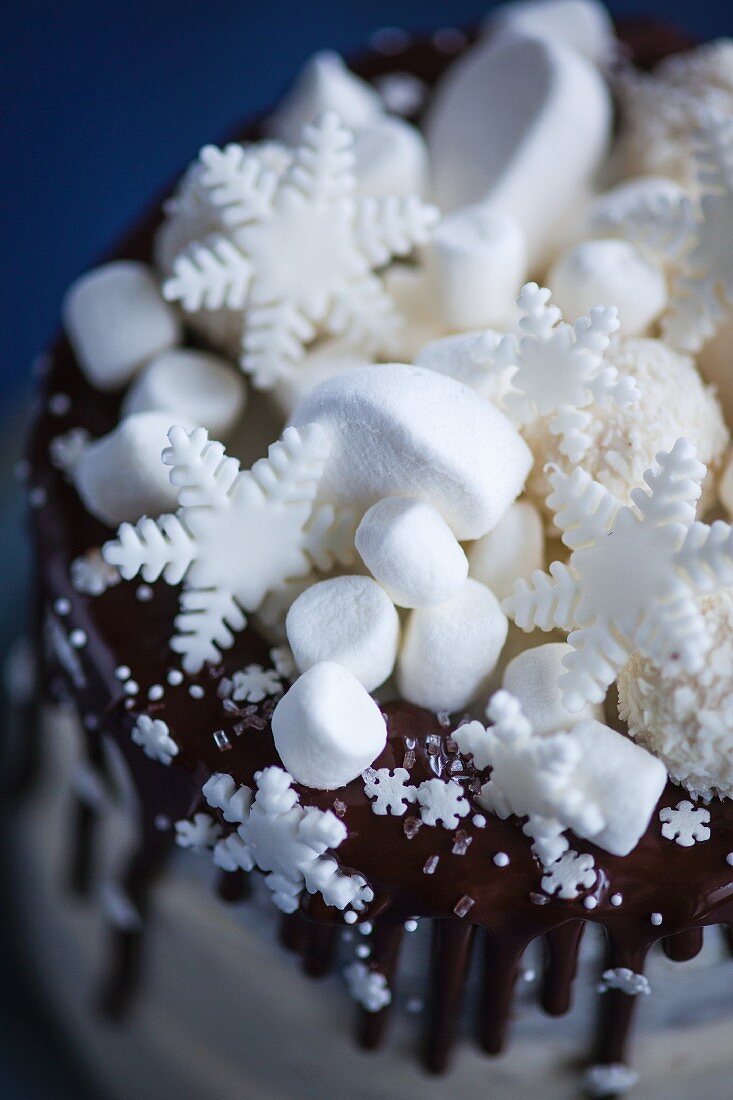 Snowflake Cake mit Mini-Marshmallows, Fondant-Schneeflocken und Kokospralinen