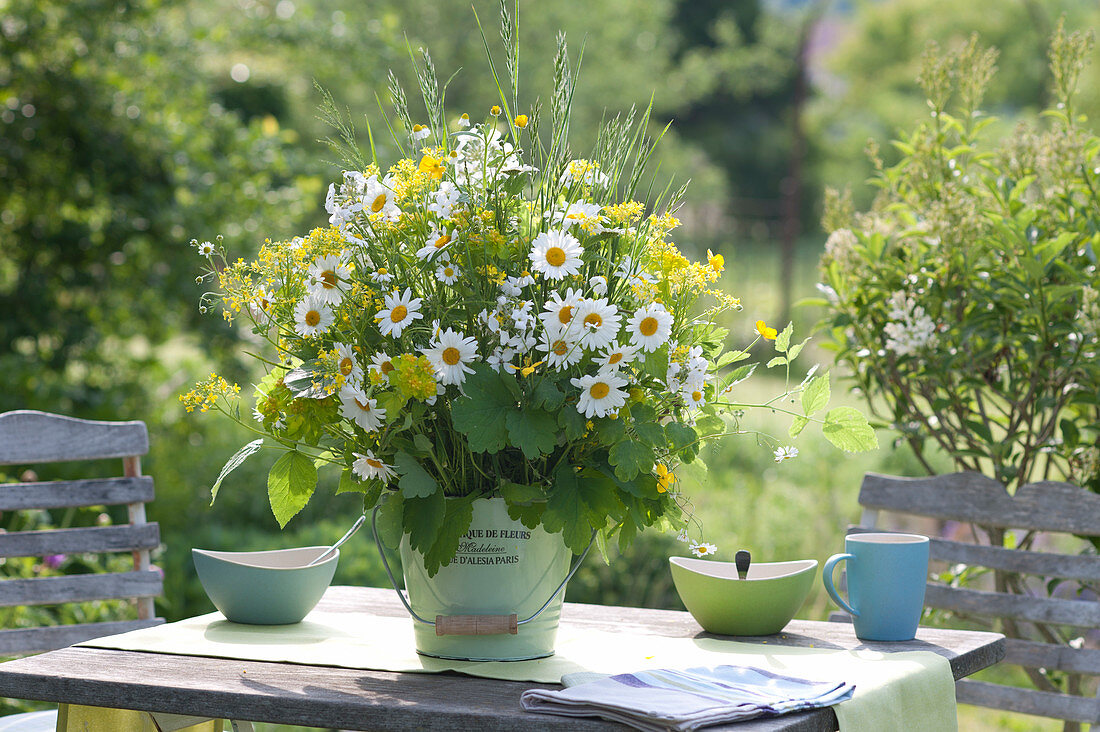 White-yellow bouquet of Leucanthemum vulgare, Erysimum