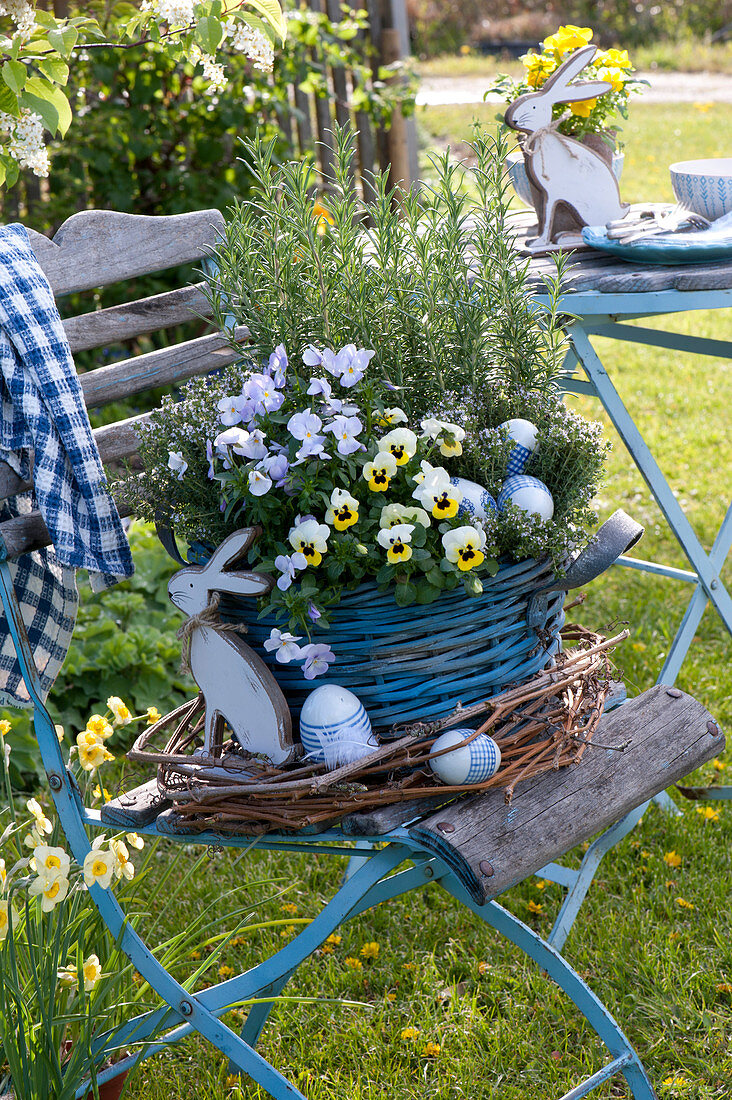 Blue basket with viola cornuta, rosmarinus