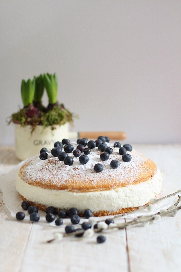 Quark torte with blueberries