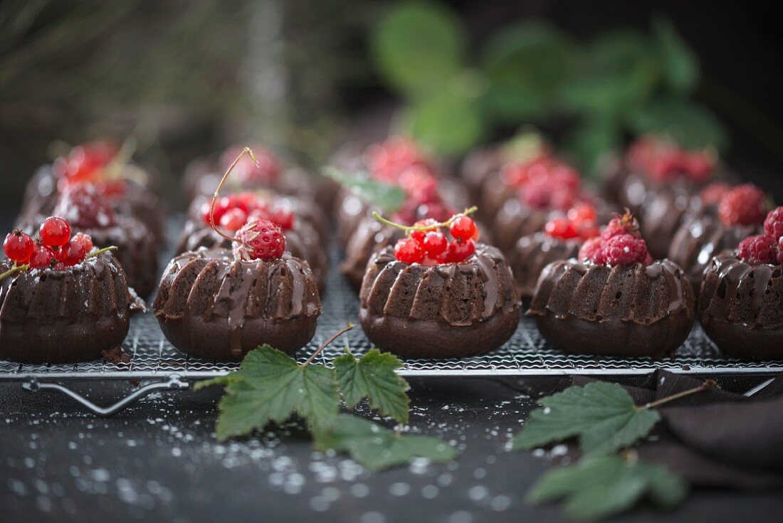 Mini chocolate gugelhupfs with various red berries (vegan)