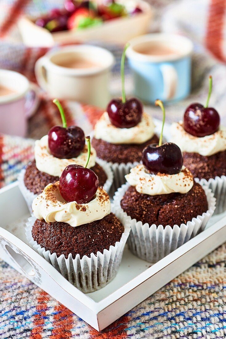 Schokoladen-Cupcakes mit Kirschen fürs Picknick