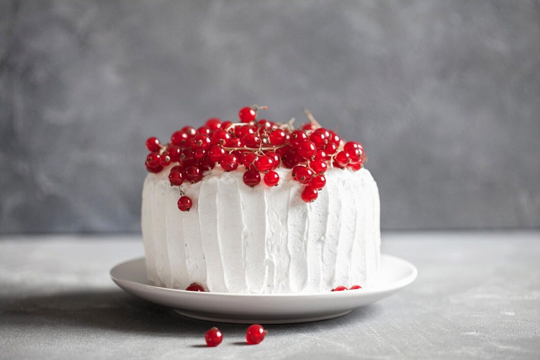 Cream cake with red currants
