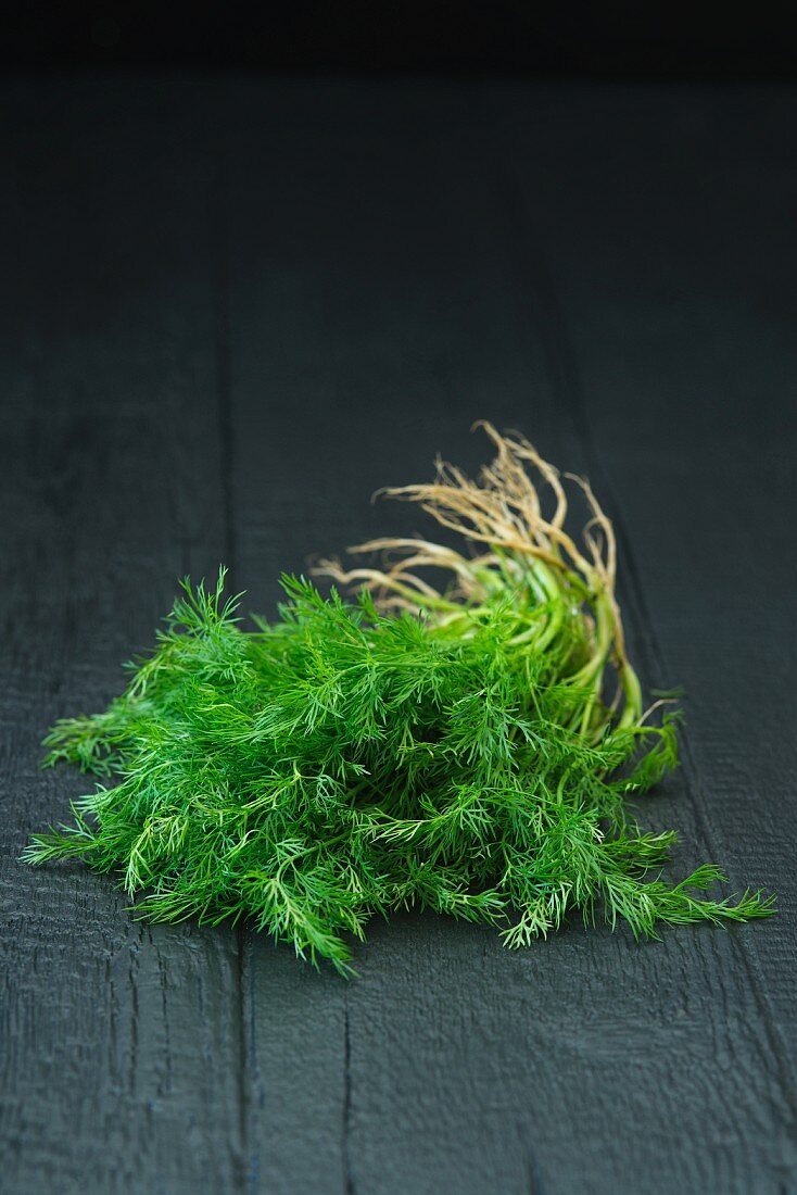 Fresh dill on a black background