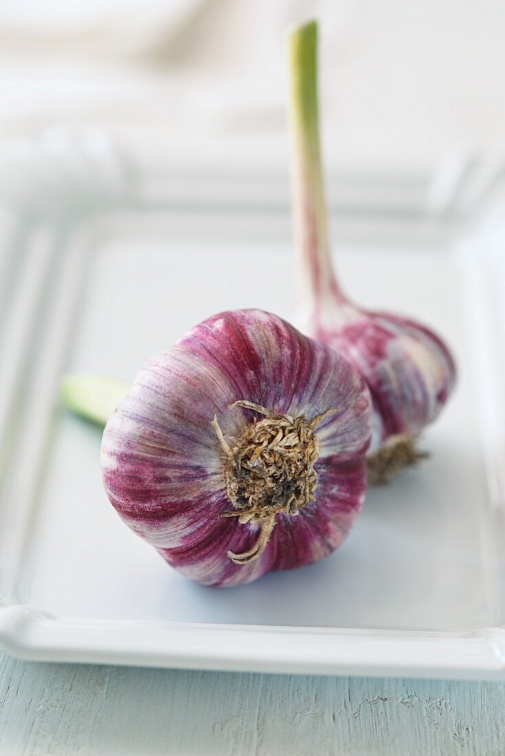 Heads of garlic