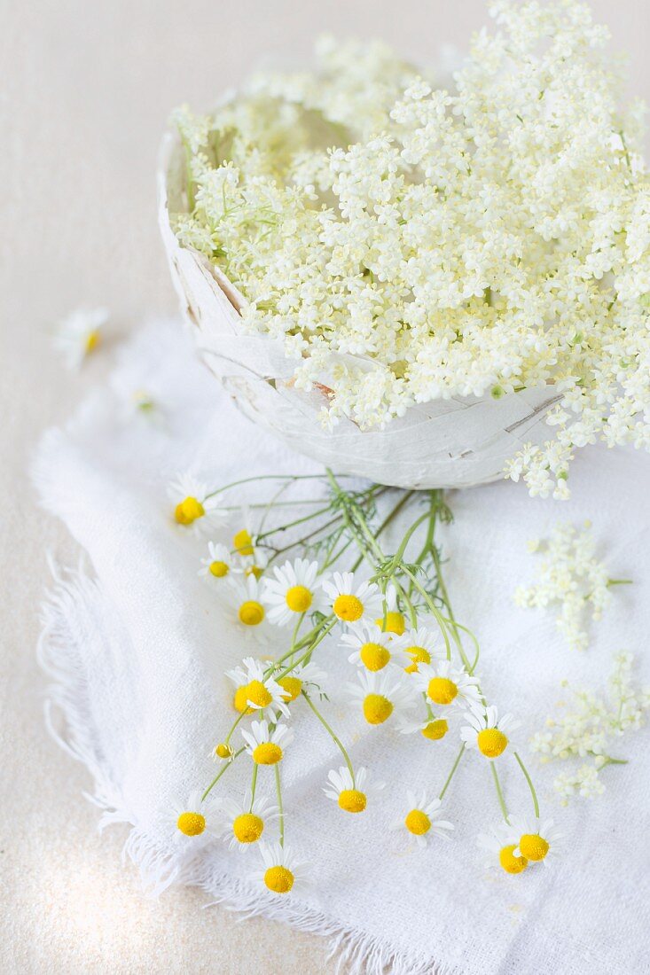 Holunderblüten in einer Schale aus Pappmache mit frischen Kamillenblüten