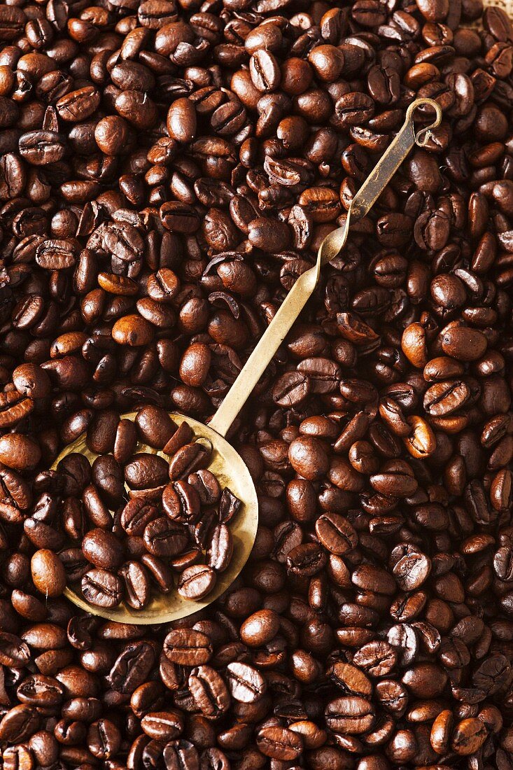 Coffee beans with an ornate brass spoon
