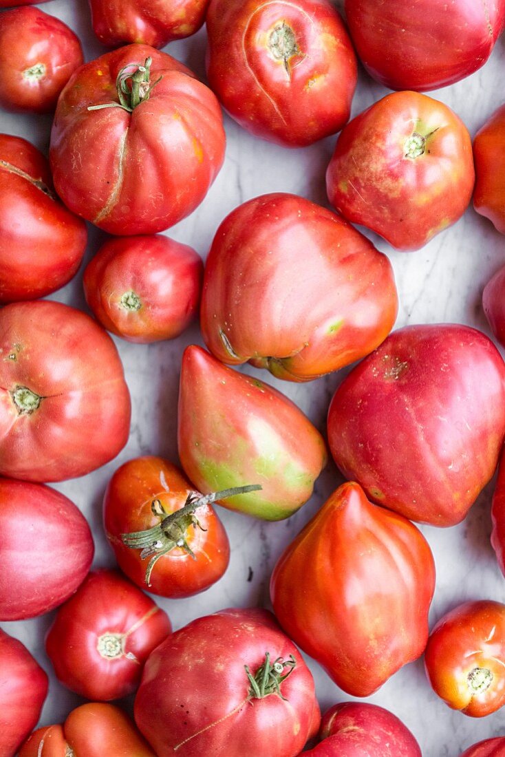 Frische Heirloom Tomaten