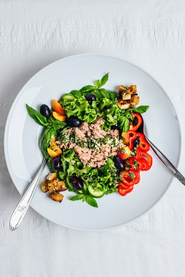 Thunfischsalat mit Paprika, Gurken, Aprikosen, Oliven, Croûtons und Minze