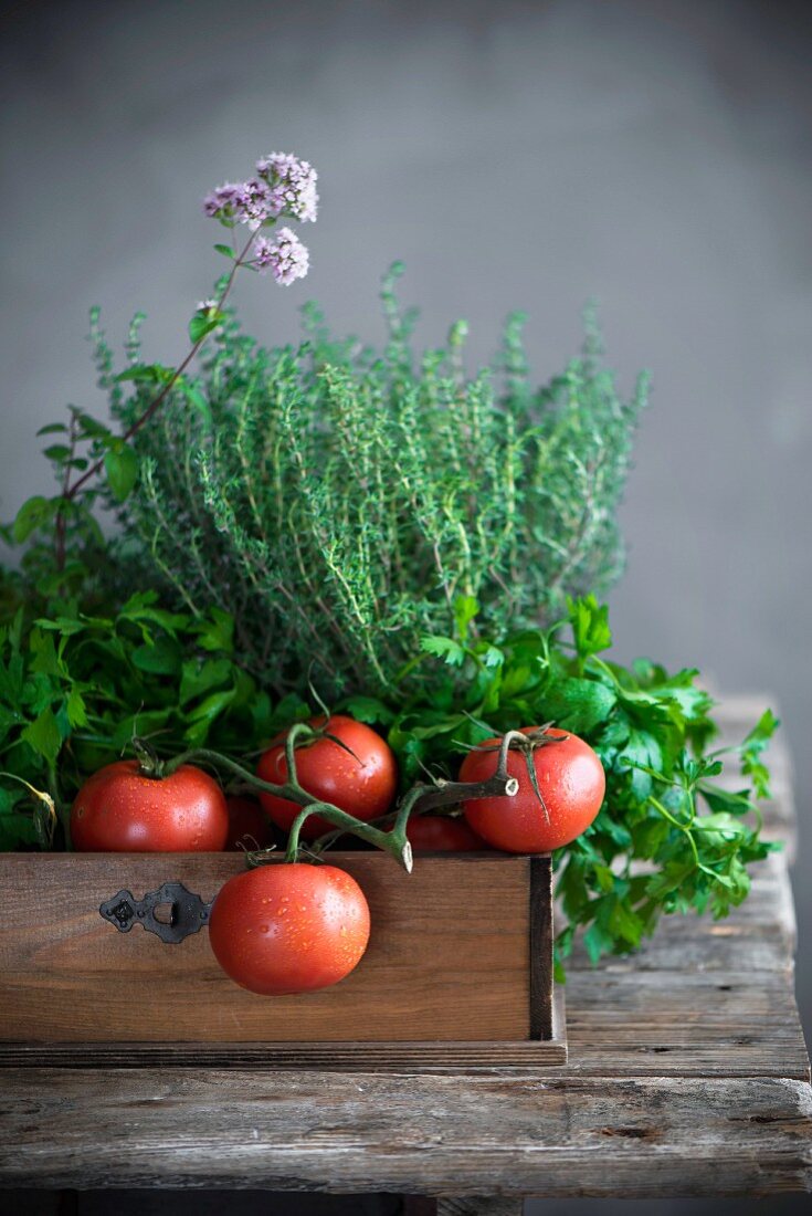 Tomaten und frische Küchenkräuter auf Holztablett