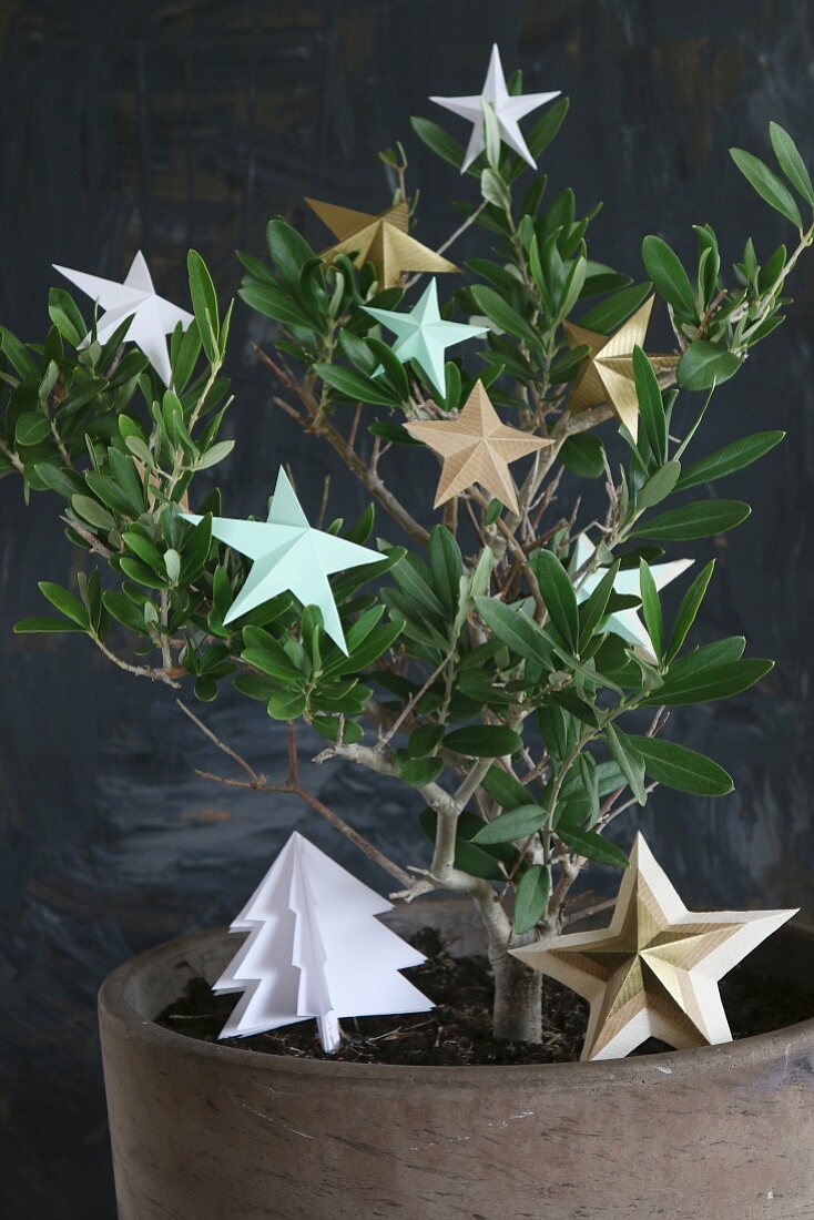 Origamisterne und ein Papiertannenbaum am Olivenbäumchen