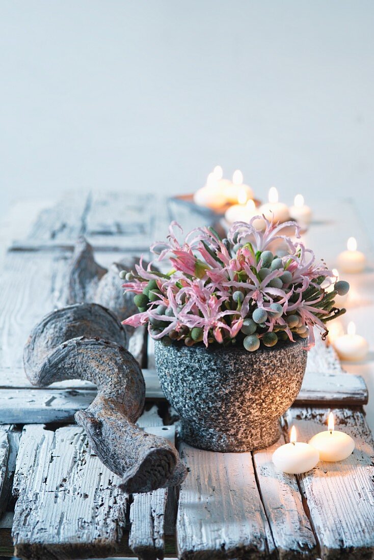 Posy of nerines and green berries in mortar