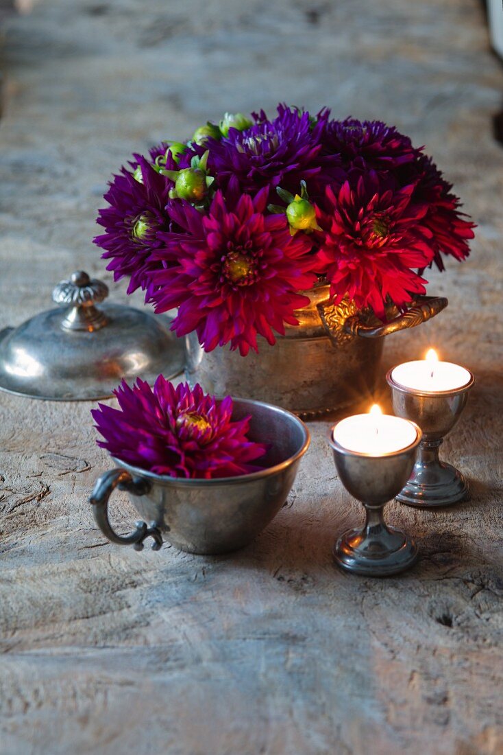 Purple dahlias in zinc pot and pewter cup