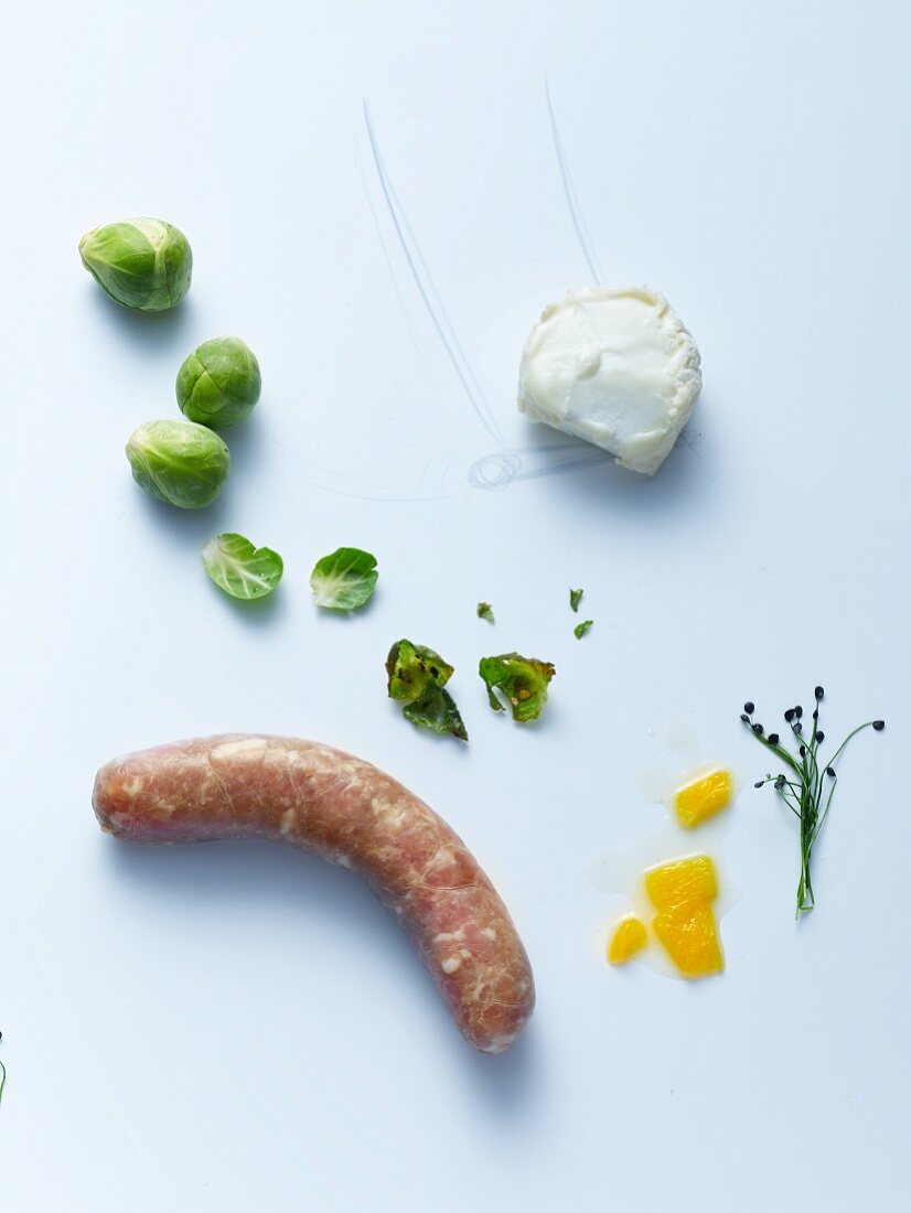 Ingredients for making ravioli with fennel and bratwurst