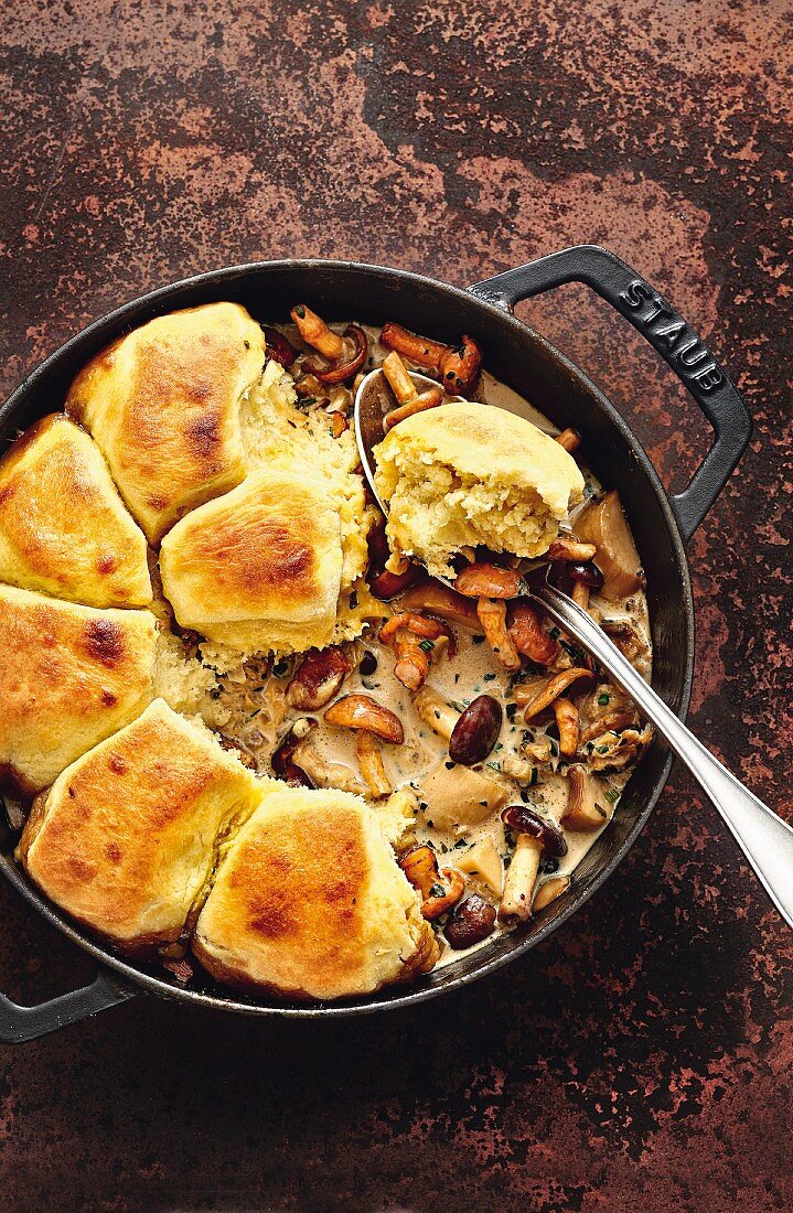 Potato dumplings on creamy mushroom ragout