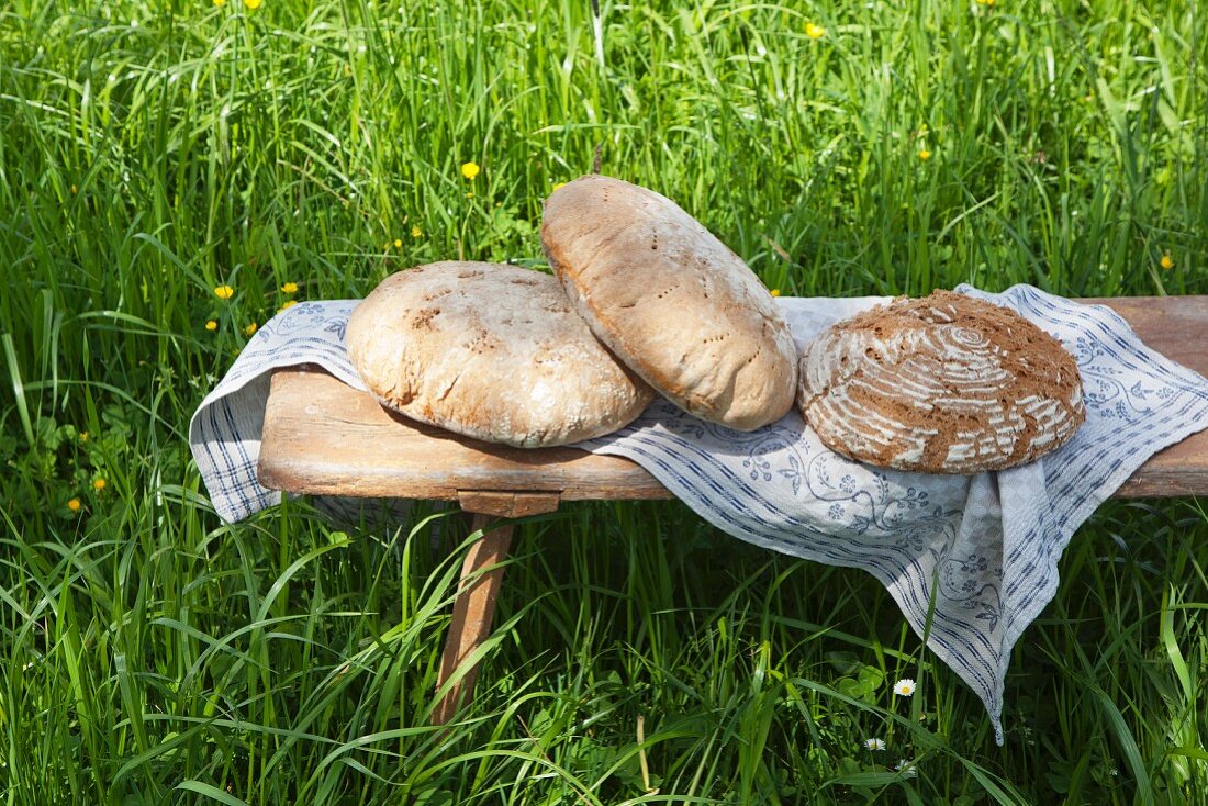Frisch gebackene Brote aus dem Holzofen auf Holzbank im Garten