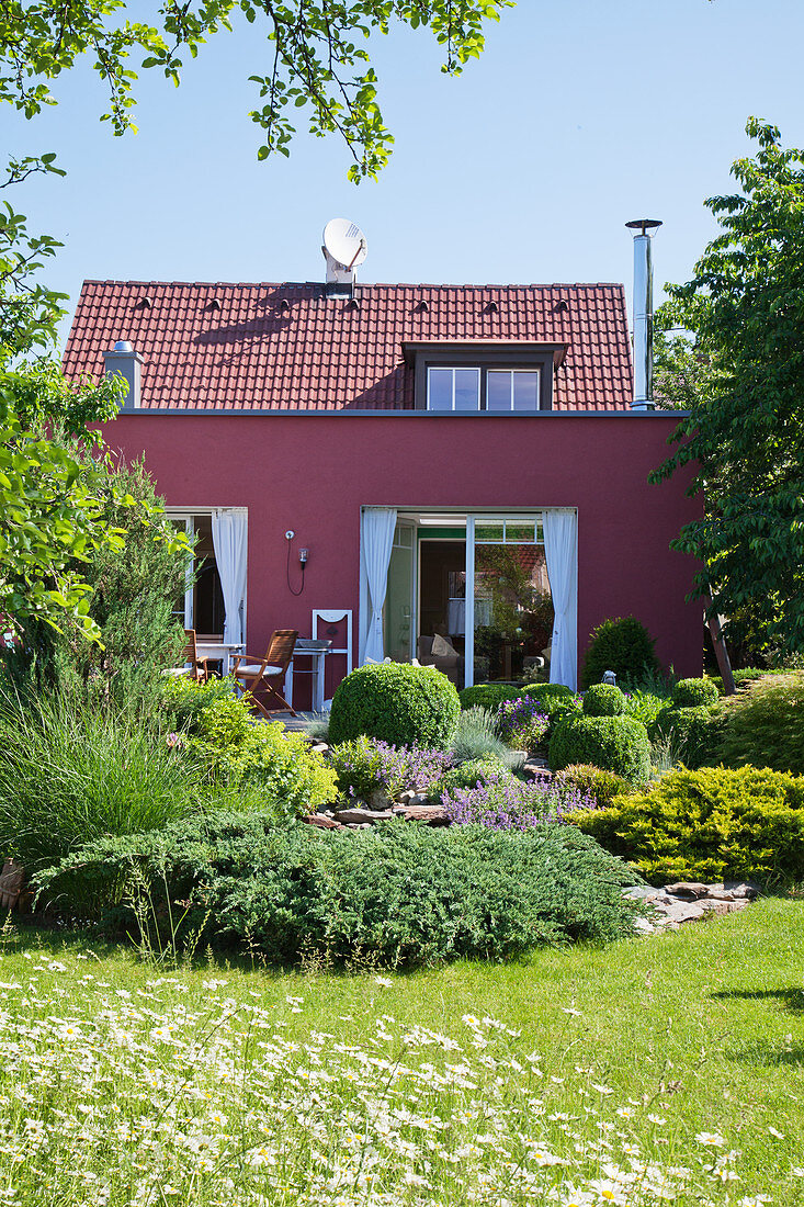Deep pink house in summery cottage garden with meadow flowers