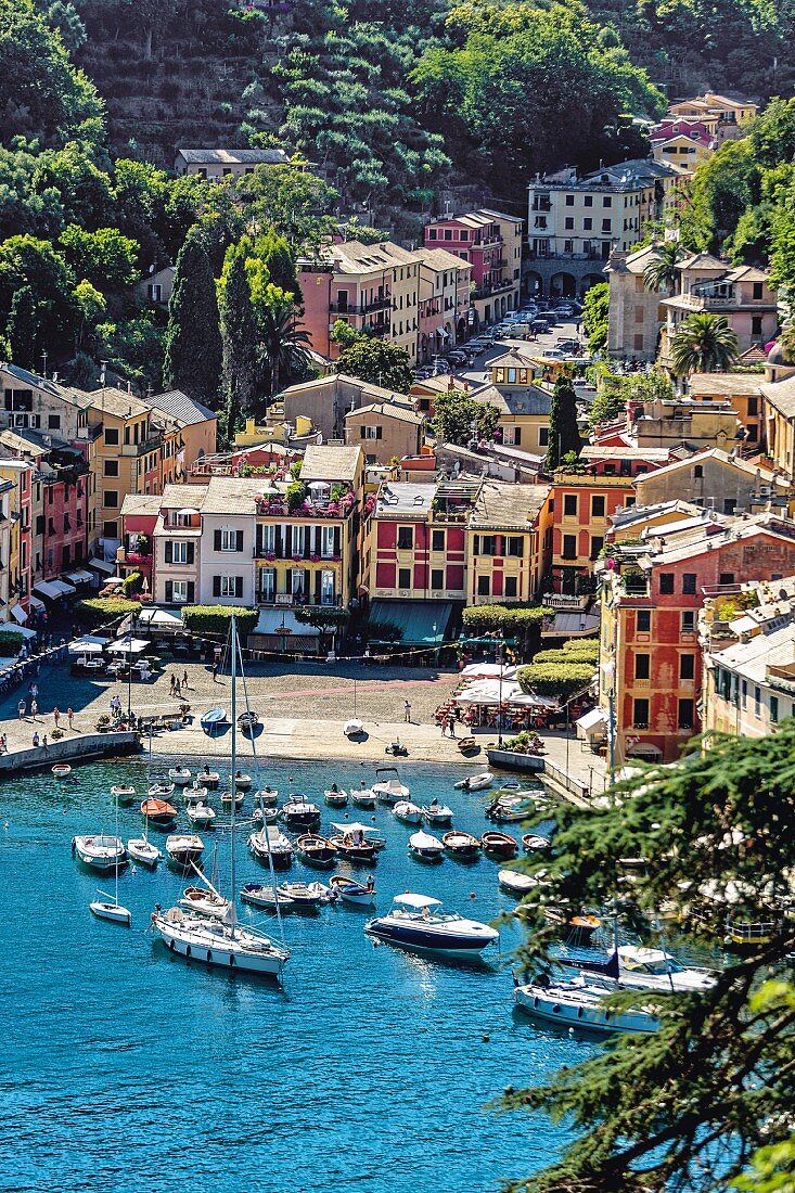 The harbour at Portofino, Liguria, Italy