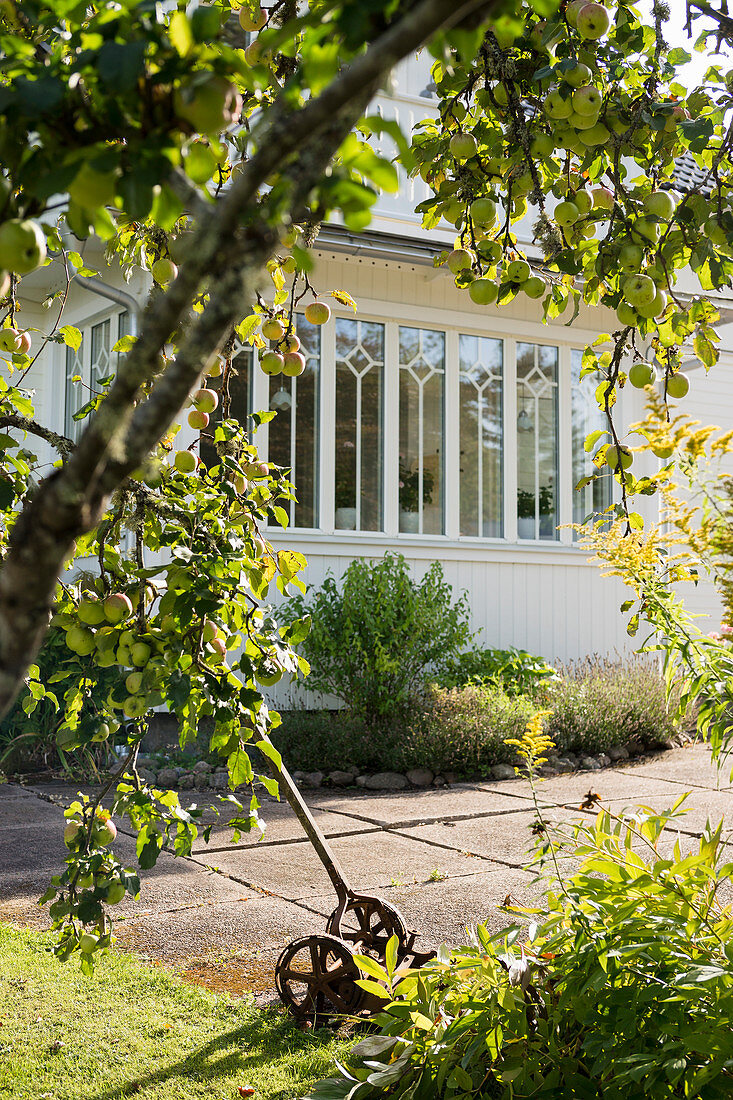 Hand-push lawnmower on terrace outside conservatory