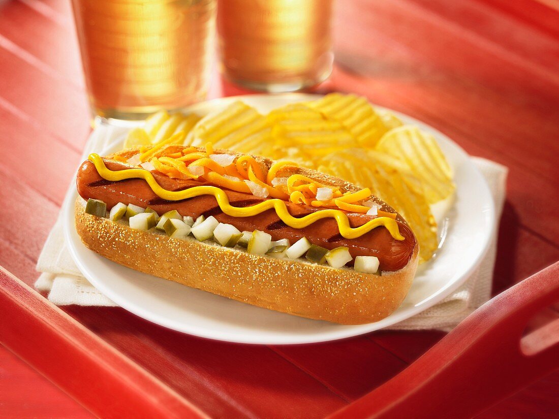 Gegrillter Hot Dog mit Käse, Zwiebeln, Senf und Relish