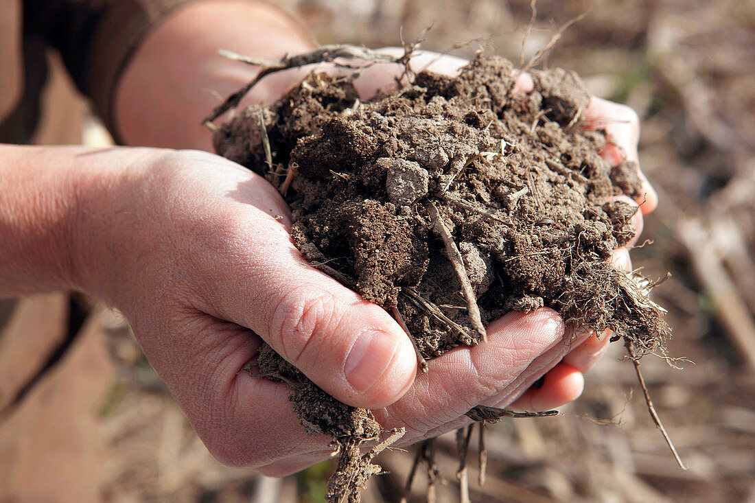 Soil scientist