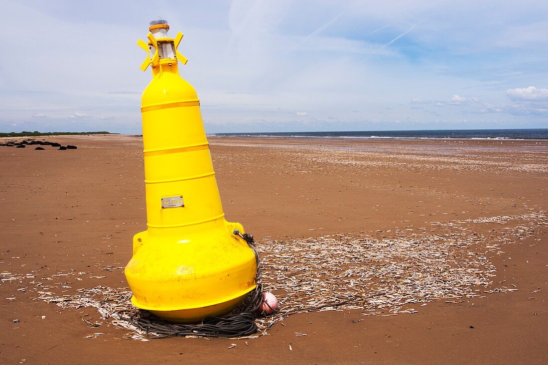 Navigation buoy washed ashore by storms