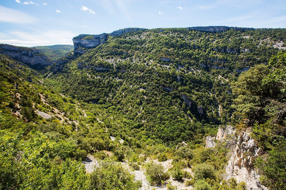 Gorges de la Nesque, France