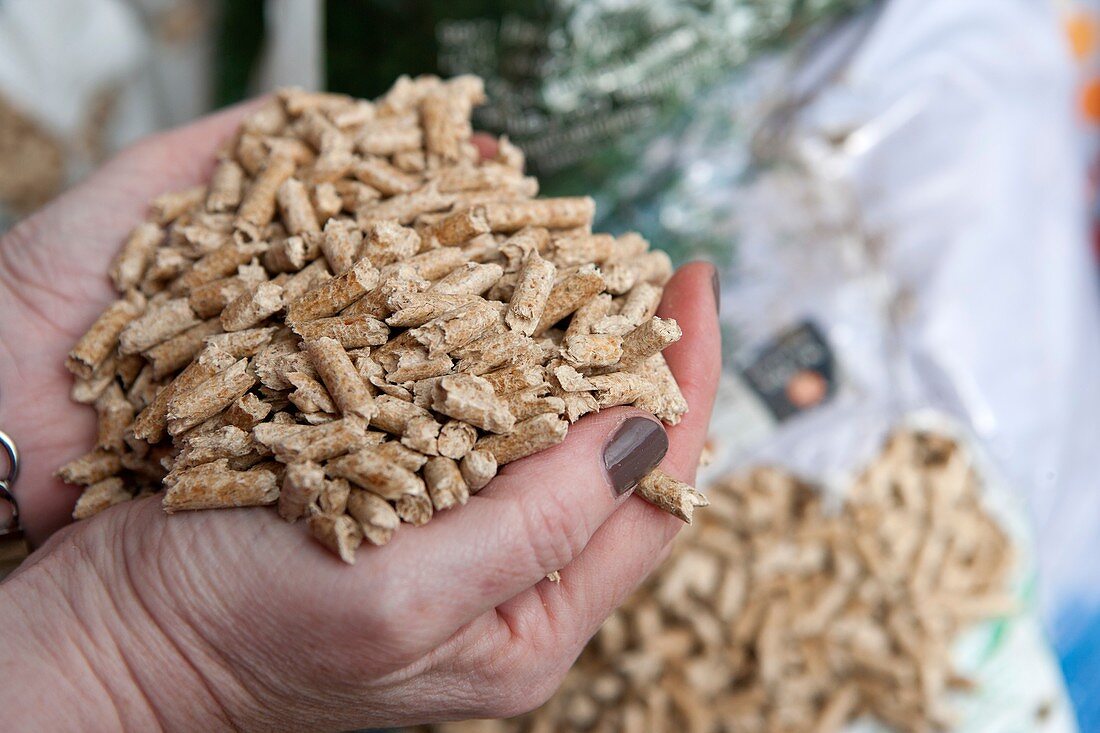 Wood pellet fuel production, Scotland, UK