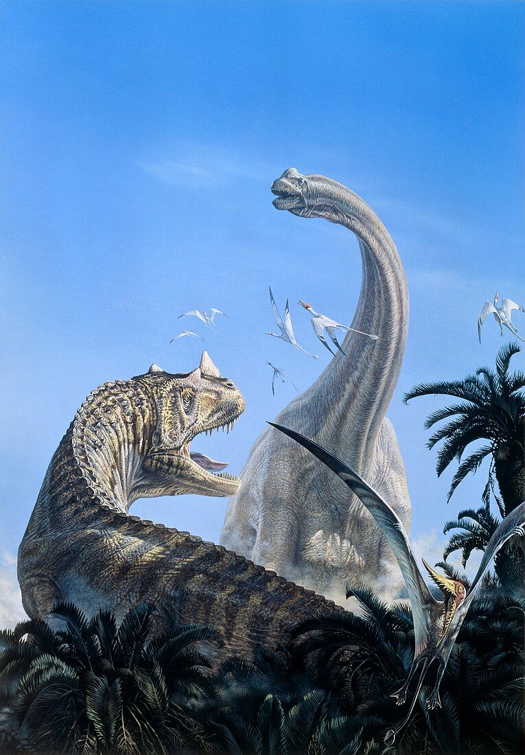 Brachiosaur and ceratosaur dinosaurs, illustration