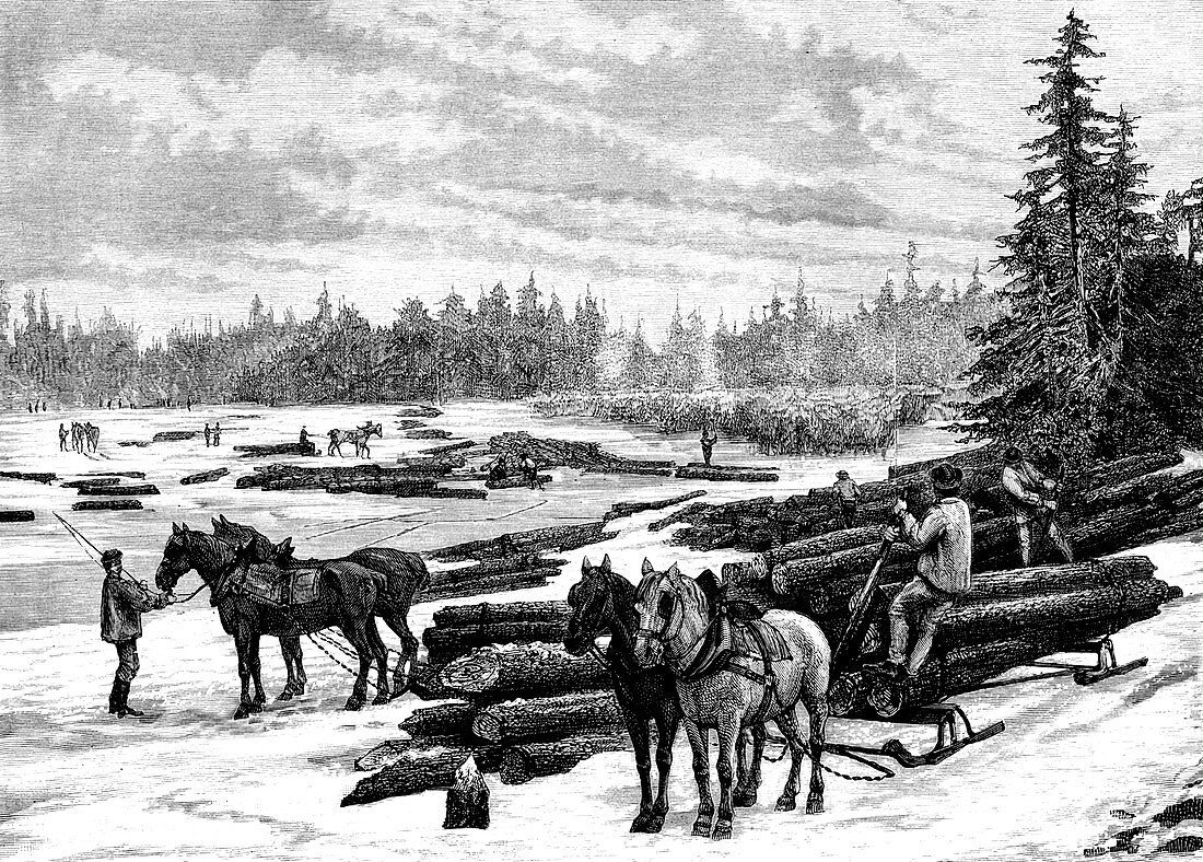 19th Century Canadian woodcutters, illustration