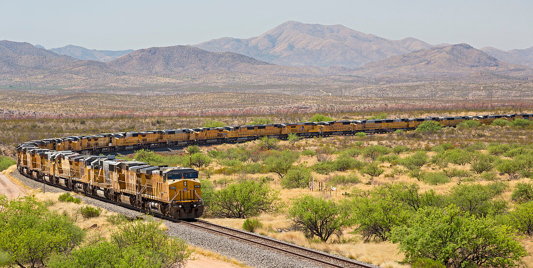 Disused trains, Arizona, USA