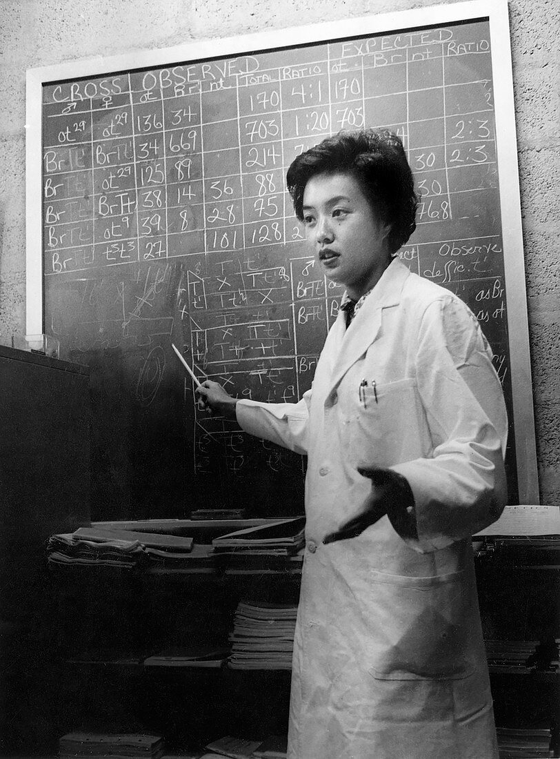 Anna Chao Pai, Chinese-American geneticist
