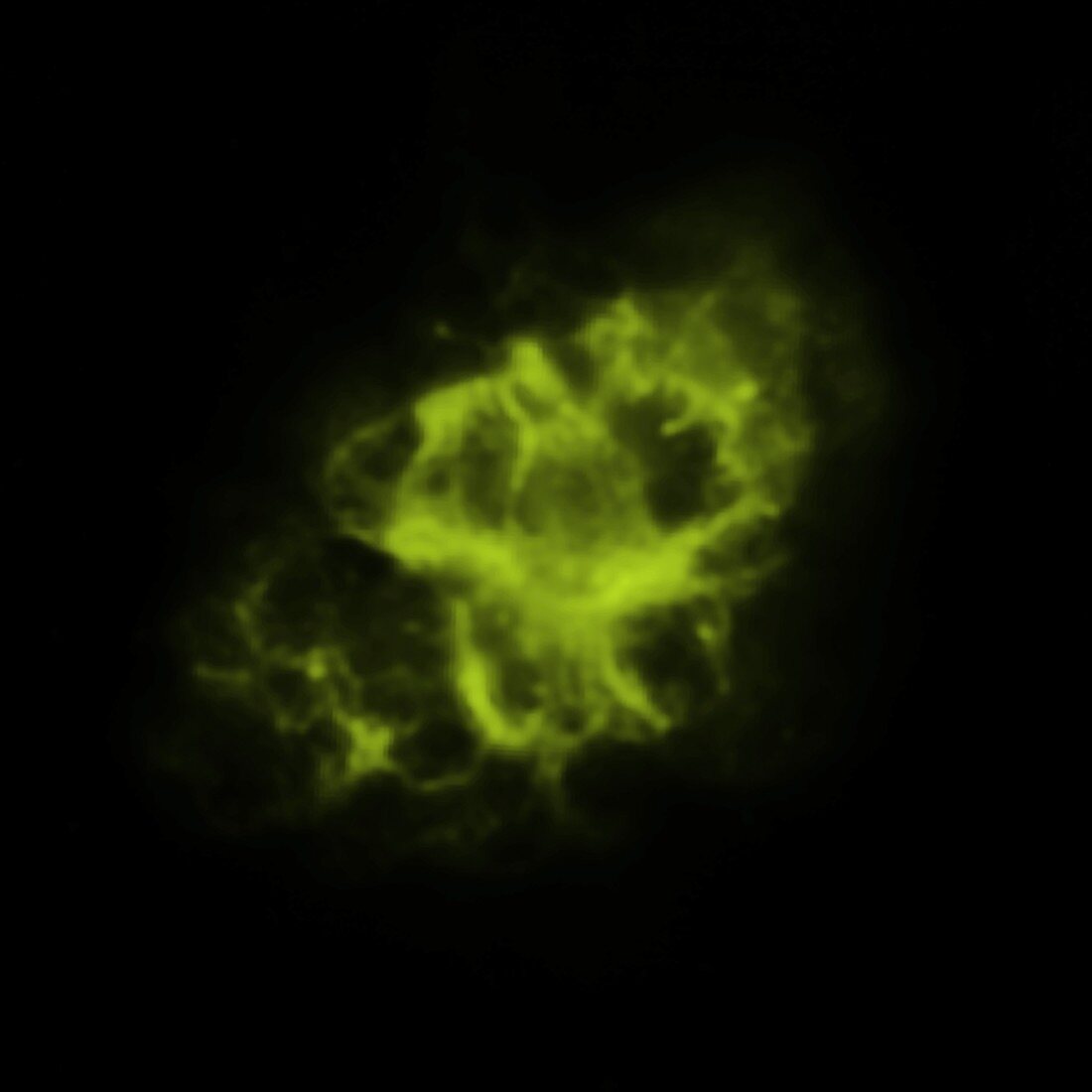 Crab nebula, infrared image