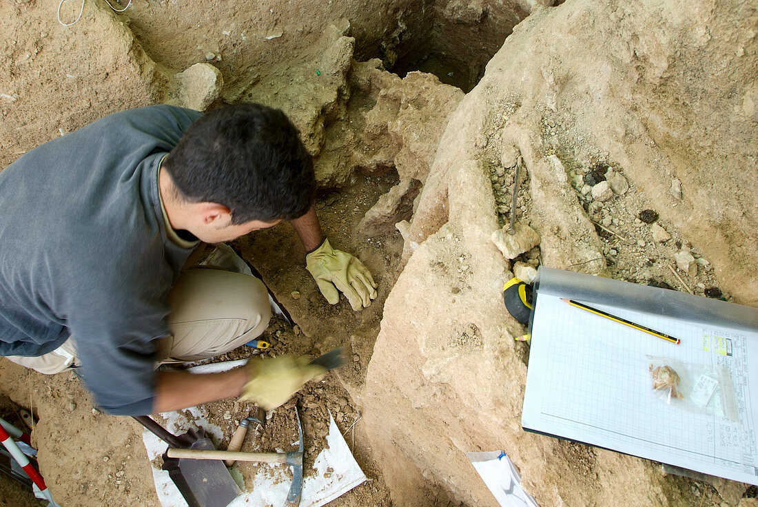 Neanderthal excavation, Pinilla del Valle