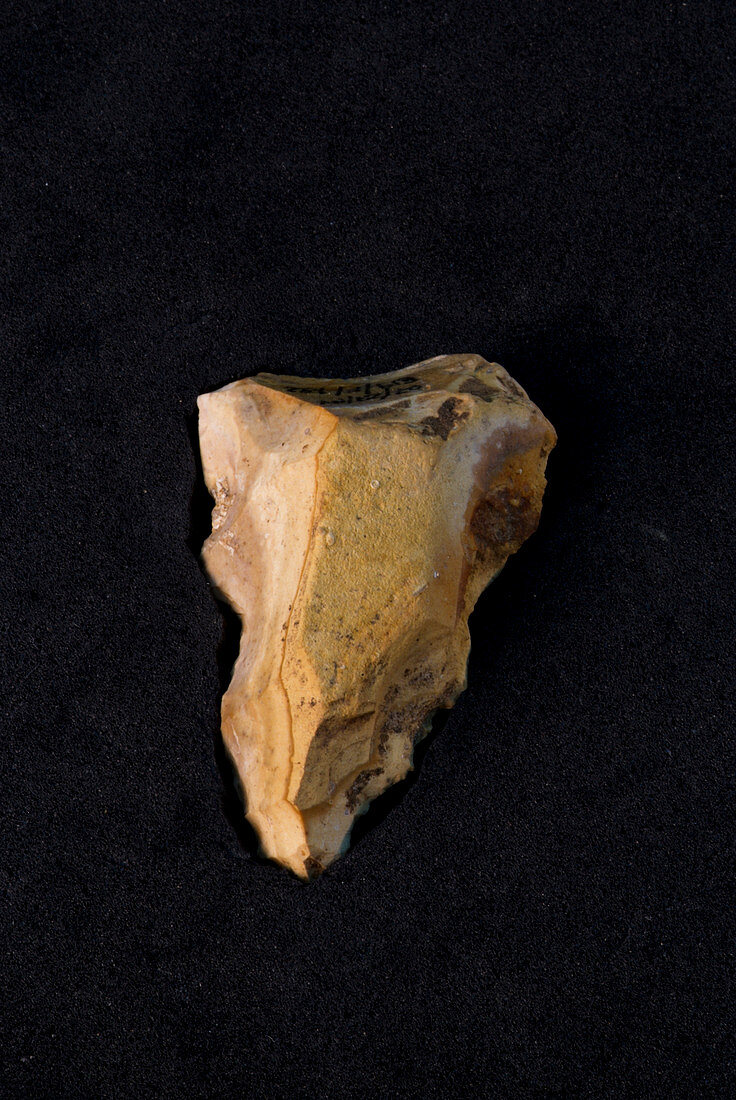 Neanderthal stone tool