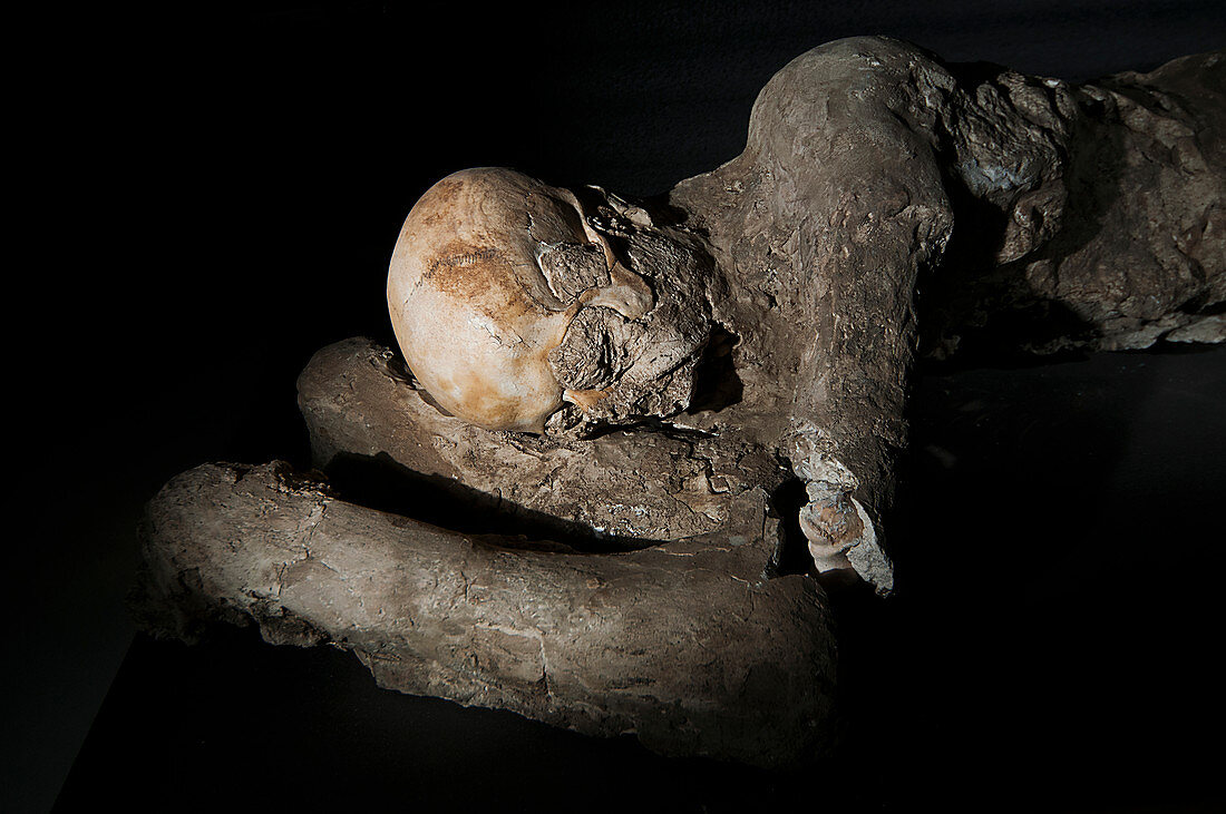 Body cast of a victim of the Pompeii eruption