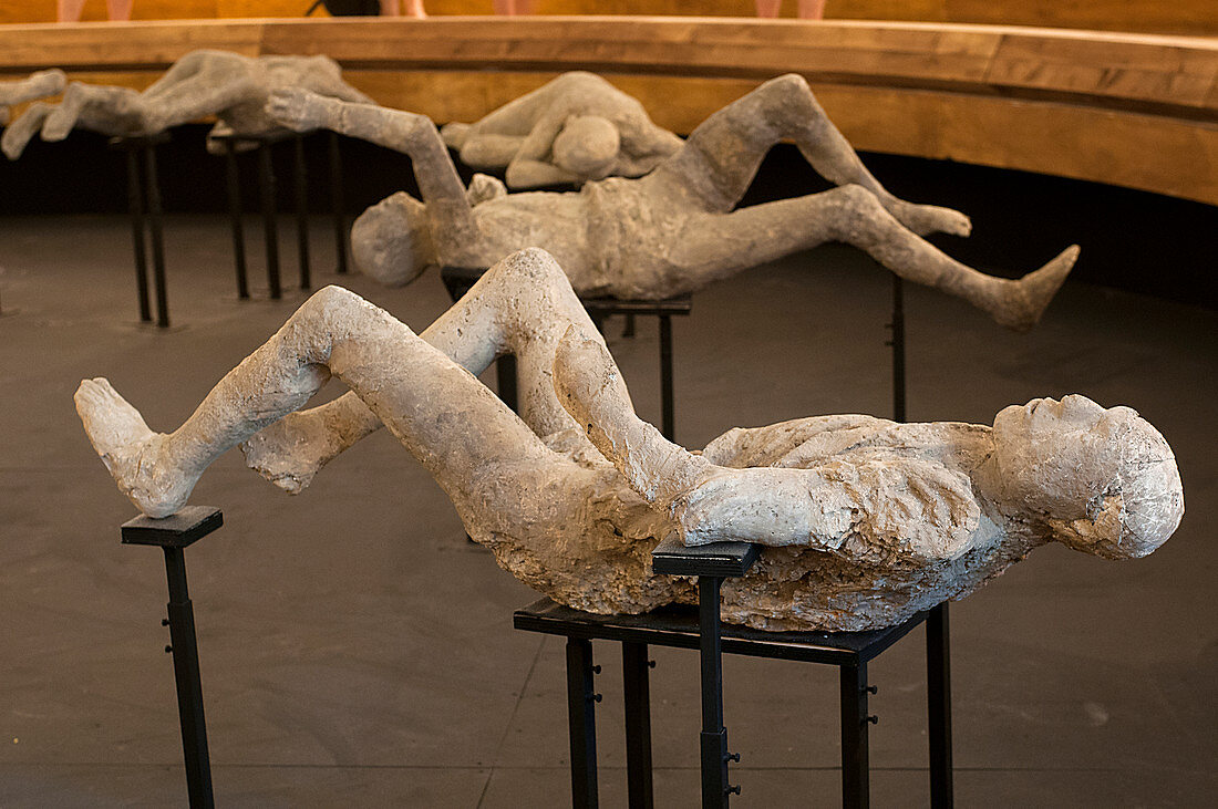 Body casts of victims of the Pompeii eruption